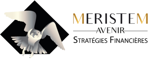 Meristem Avenir — Stratégies Financières